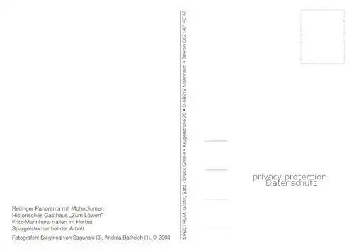 Reilingen Spargelstecher Fritz Mannherz Hallen Gasthaus zum Loewen  Reilingen