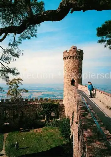 AK / Ansichtskarte Bensheim_Auerbach_Bergstrasse Burgruine Auerbacher Schloss Bensheim_Auerbach