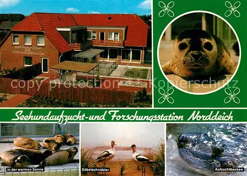 AK / Ansichtskarte Norddeich_Ostfriesland Seehundaufzucht und Forschungsstation Norddeich_Ostfriesland