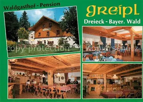 AK / Ansichtskarte Dreieck_Regen Waldgasthof Pension Greipl Restaurant Dreieck Regen