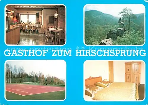 AK / Ansichtskarte Issigau Gasthof Zum Hirschsprung Fremdenzimmer Tennisplatz Issigau