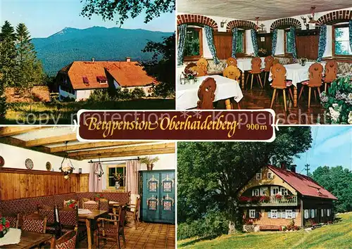 AK / Ansichtskarte Oberhaiderberg Bergpension Bayerischer Wald Oberhaiderberg