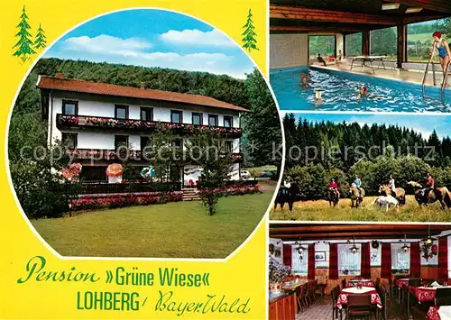 AK / Ansichtskarte Lohberg_Lam Gasthof Pension Gruene Wiese Hallenbad Reiten Bayerischer Wald Lohberg_Lam