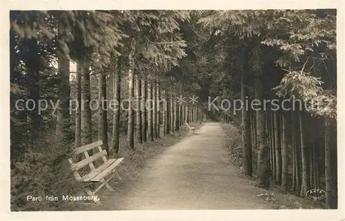 AK / Ansichtskarte Moesseberg Wald Park 