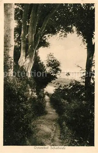 AK / Ansichtskarte Scharbeutz_Ostseebad Waldweg Scharbeutz_Ostseebad