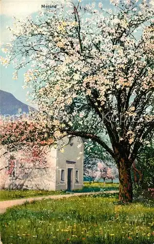 AK / Ansichtskarte Merano_Suedtirol Primavera la Merano Merano Suedtirol