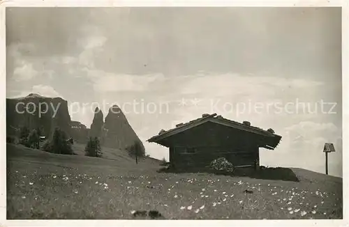 AK / Ansichtskarte Dolomiti Motivo sull Alpe di Siusi Lo Sciliar  Dolomiti