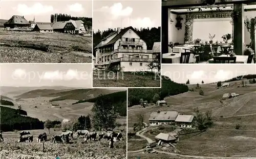 AK / Ansichtskarte Schwaerzenbach_Titisee Neustadt Pension Haus Feldbergblick Landschaftspanorama Schwarzwald Schwaerzenbach