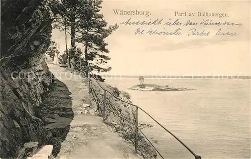 AK / Ansichtskarte Vaenersborg Dalbobergen Vaenersborg
