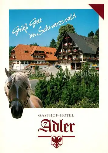 AK / Ansichtskarte St_Roman_Wolfach Landgasthof Hotel Adler  
