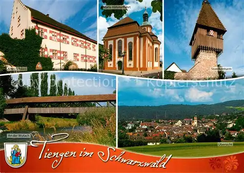 AK / Ansichtskarte Tiengen_Waldshut Altes Schloss Storchenturm Wutach Maria Himmelfahrt  Tiengen Waldshut