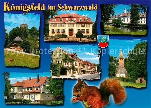AK / Ansichtskarte Koenigsfeld_Schwarzwald Ortsansichten Eichhoernchen Koenigsfeld Schwarzwald