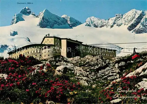AK / Ansichtskarte Schladming_Obersteiermark Berghaus Krippenstein Koenig Dachstein Schladming_Obersteiermark