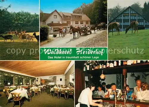 AK / Ansichtskarte Obersteinebach Hotel Pension Waldhotel Heiderhof Restaurant Wildpark Pferdewagen Obersteinebach