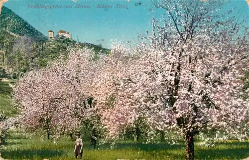 AK / Ansichtskarte Meran_Merano Schloss Tirol Fruehlingsbluete Meran Merano