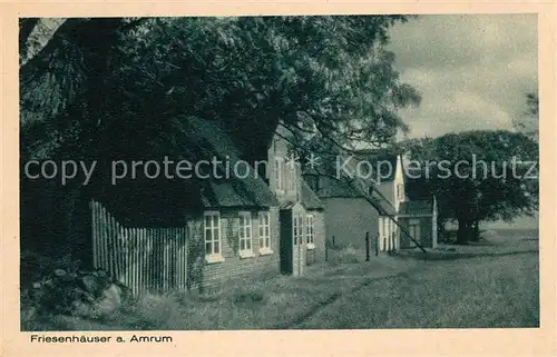 AK / Ansichtskarte Amrum Friesenhaeuser Amrum
