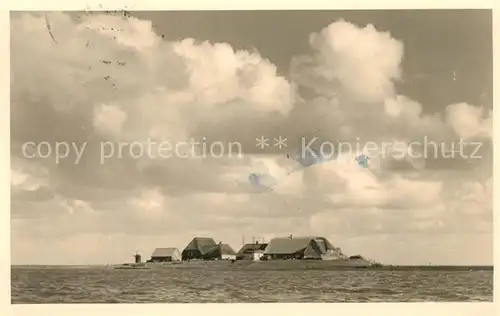 AK / Ansichtskarte Wyk_Foehr Hallig Foehr