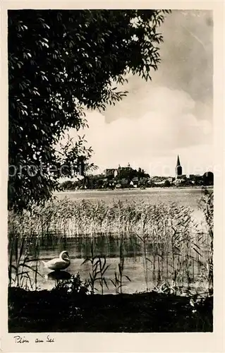 AK / Ansichtskarte Ploen_See Uferpartie am Ploener See Schwan Schilf Naturpark Holsteinische Schweiz Ploen_See