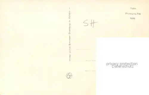 AK / Ansichtskarte Ploen_See Uferpartie am Ploener See Schwan Schilf Naturpark Holsteinische Schweiz Ploen_See