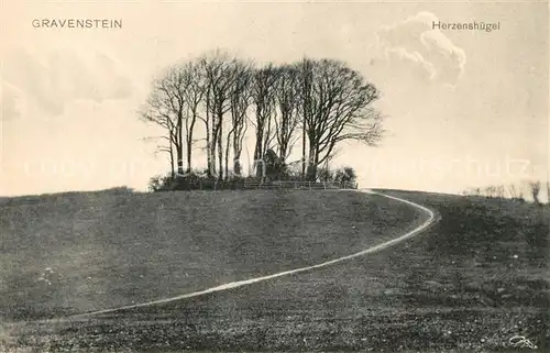 AK / Ansichtskarte Gravenstein Herzenshuegel Gravenstein