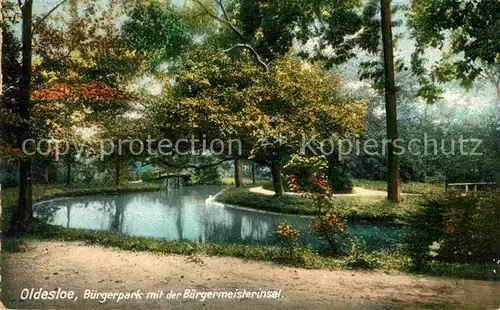 AK / Ansichtskarte Oldesloe_Bad Buergerpark mit Buergermeisterinsel Oldesloe_Bad