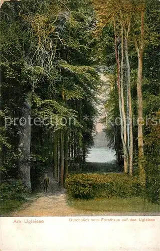 AK / Ansichtskarte Uglei_See Durchblick vom Forsthaus auf den See Uglei_See