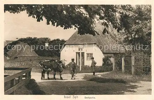 AK / Ansichtskarte Insel_Sylt Dorfpartie Insel_Sylt