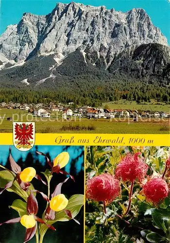 AK / Ansichtskarte Ehrwald_Tirol Zugspitzmassiv Ehrwald Tirol