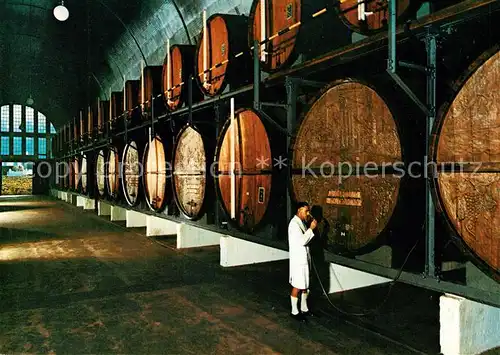 AK / Ansichtskarte Paarl Cathedral Cellar K.W.V. 