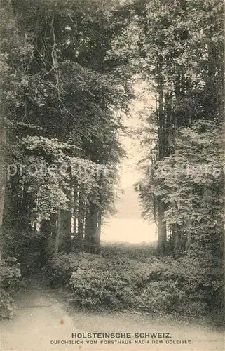 AK / Ansichtskarte Holsteinische_Schweiz Blick vom Forsthaus zum Ugleisee Holsteinische_Schweiz
