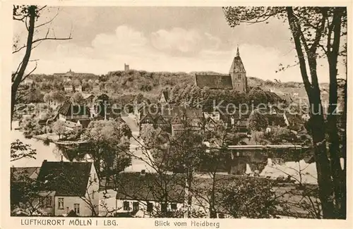 AK / Ansichtskarte Moelln_Lauenburg Panorama Kirche Moelln_Lauenburg