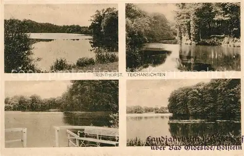 AK / Ansichtskarte Trenthorst_Holstein Panoramen Trenthorst_Holstein