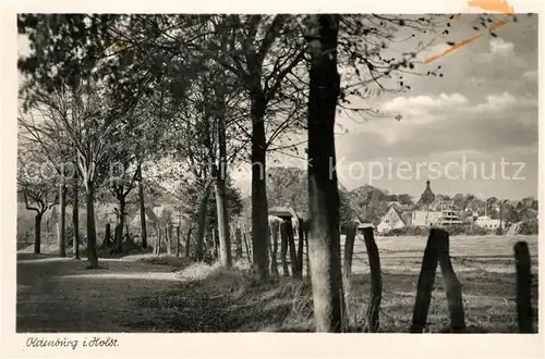 AK / Ansichtskarte Oldenburg_Holstein Panorama Oldenburg_Holstein