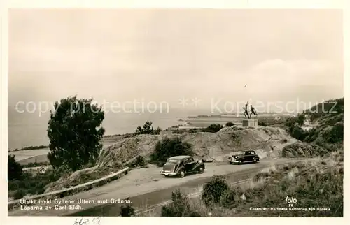 AK / Ansichtskarte Gyllene_Uttern Graenna  Gyllene_Uttern