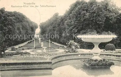 AK / Ansichtskarte Neustrelitz Kastanien Allee Schlossterrasse Neustrelitz