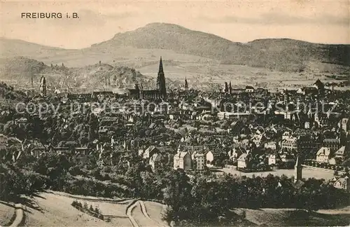 AK / Ansichtskarte Freiburg_Breisgau Panorama mit Muenster Freiburg Breisgau