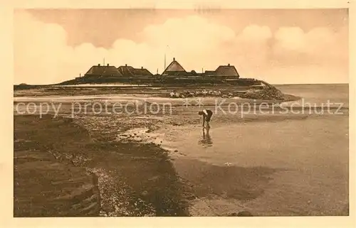 AK / Ansichtskarte Halligen_Nordsee Warft Hilligenlei Halligen Nordsee