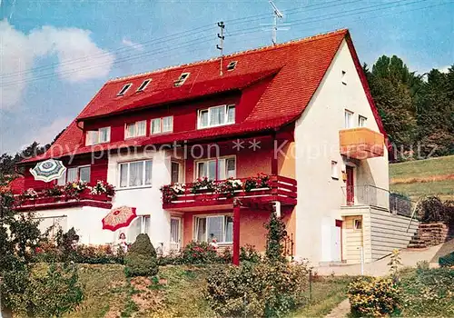 AK / Ansichtskarte Friedenfels Haus Nora Mitlmeier Friedenfels