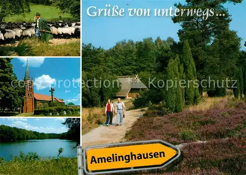 AK / Ansichtskarte Amelinghausen_Lueneburger_Heide Heidschnucken Kirche Heidekraut Amelinghausen_Lueneburger