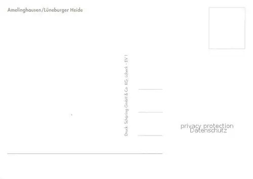 AK / Ansichtskarte Amelinghausen_Lueneburger_Heide Heidschnucken Kirche Heidekraut Amelinghausen_Lueneburger