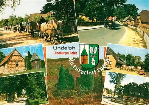 AK / Ansichtskarte Undeloh Pferdewagen Cafe Undeloh