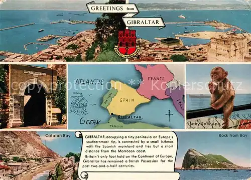 AK / Ansichtskarte Gibraltar Felsen Bucht Affe Gibraltar