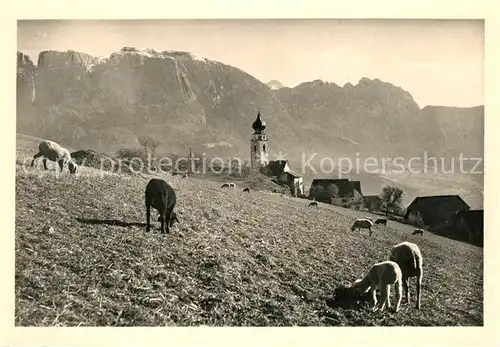 AK / Ansichtskarte Renon_Ritten Mittelberg Renon Ritten