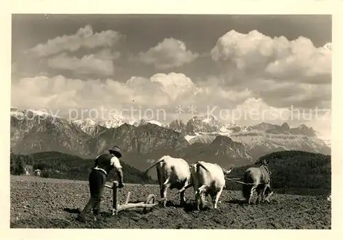 AK / Ansichtskarte Renon_Ritten Rosengarten Renon Ritten