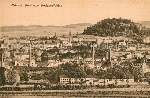 AK / Ansichtskarte Poessneck Panorama Blick vom Birkenwaeldchen Poessneck