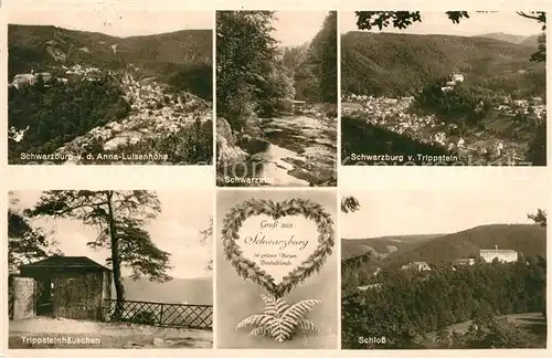 AK / Ansichtskarte Schwarzburg_Thueringer_Wald Panorama Blick von der Anna Luisenhoehe Schwarzatal Trippstein Haeuschen Schloss Herz Schwarzburg_Thueringer