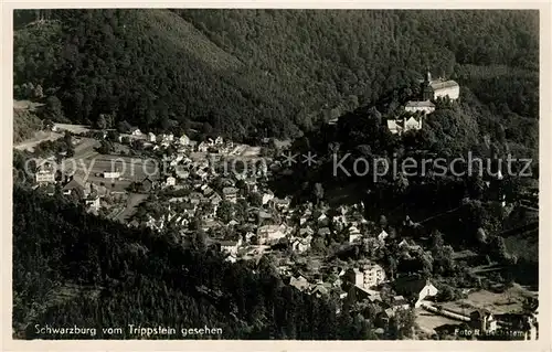 AK / Ansichtskarte Schwarzburg_Thueringer_Wald Blick vom Trippstein Schwarzburg_Thueringer