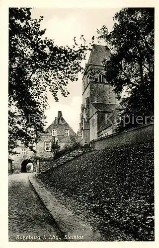 AK / Ansichtskarte Ratzeburg Steintor Ratzeburg