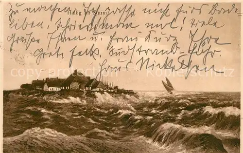 AK / Ansichtskarte Hallig_Nordsee Hallig im Sturm Hallig Nordsee