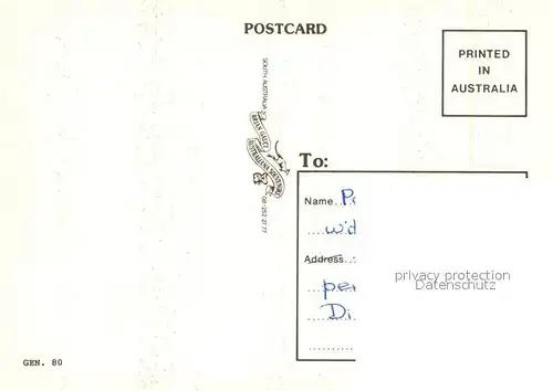 AK / Ansichtskarte Adelaide Gouverneur William Light Rennwagen Adelaide